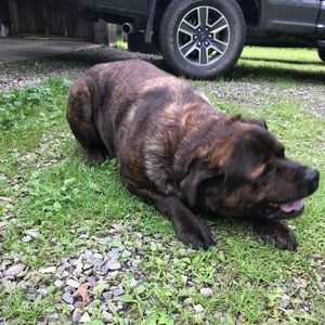 Meet your Posher, Faye